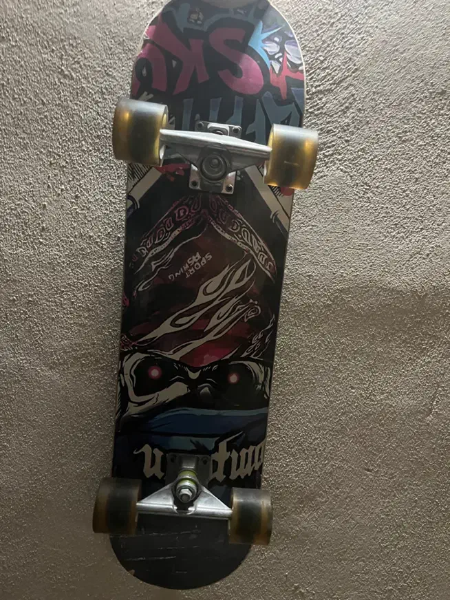 اسکیت برد حرفه ای|دوچرخه، اسکیت، اسکوتر|مشهد, امیریه|دیوار