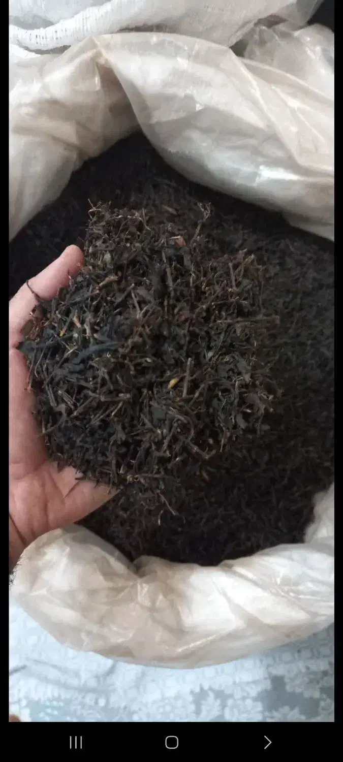 چای چوبدار قهوه خانه ای|خوردنی و آشامیدنی|بابلسر, |دیوار