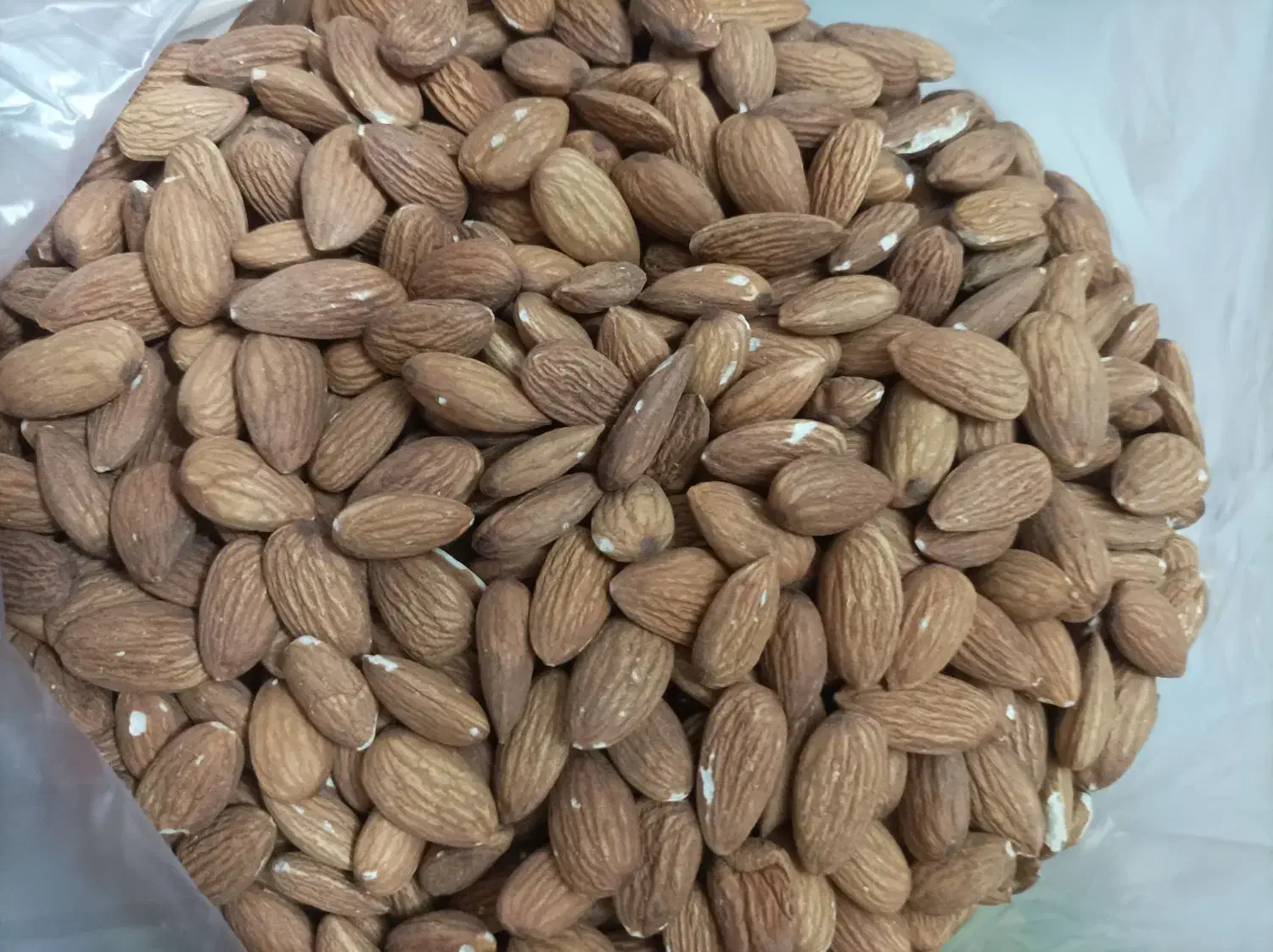 خورده نبات|خوردنی و آشامیدنی|تهران, مسعودیه|دیوار