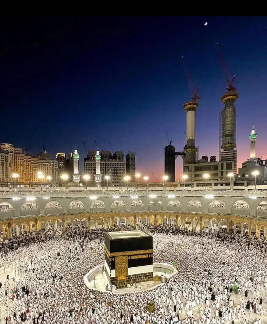 فروش فیش حج تمتع|تور و چارتر|بندر کنگان, |دیوار