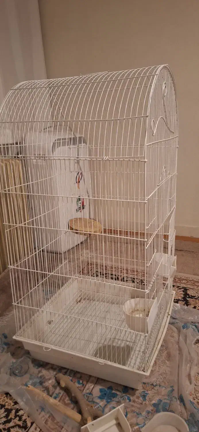 قفس|لوازم جانبی حیوانات|تهران, جوانمردان (اندیشه)|دیوار