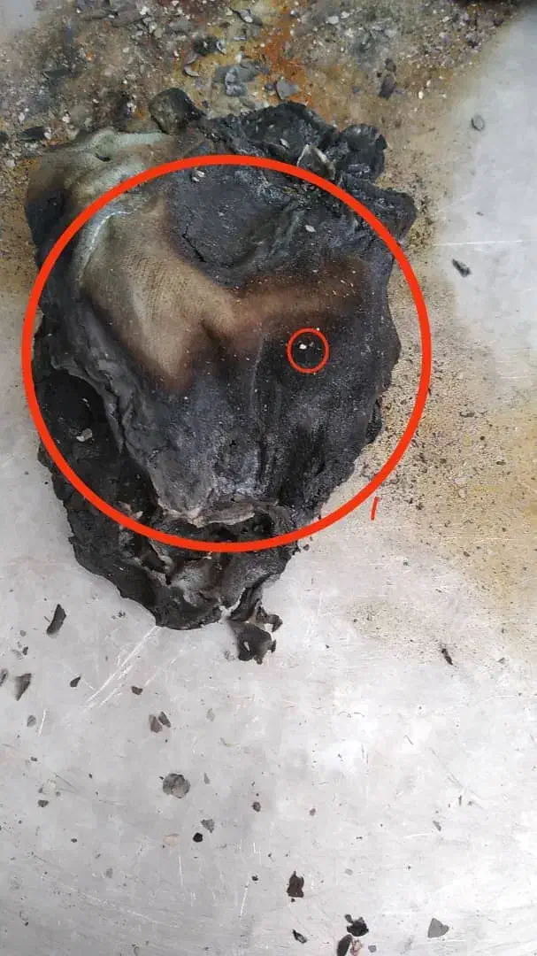 فال قهوه|خدمات پذیرایی، مراسم|مرند, |دیوار