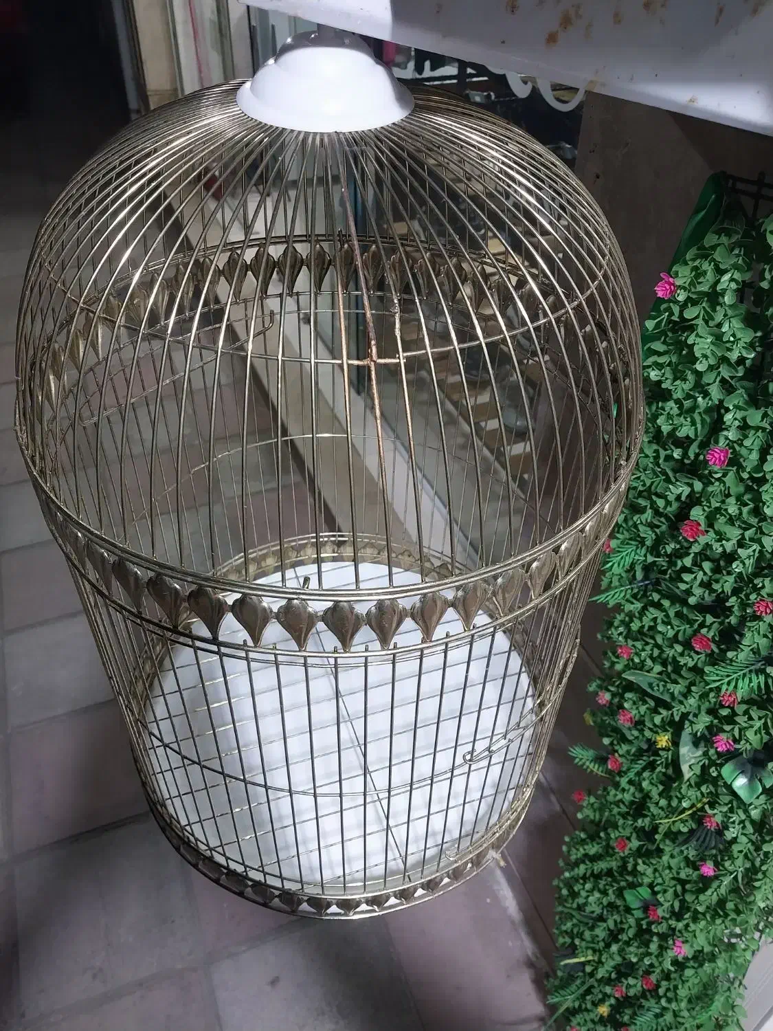 قفس پرنده|لوازم جانبی حیوانات|بندر انزلی, کارآموزی|دیوار