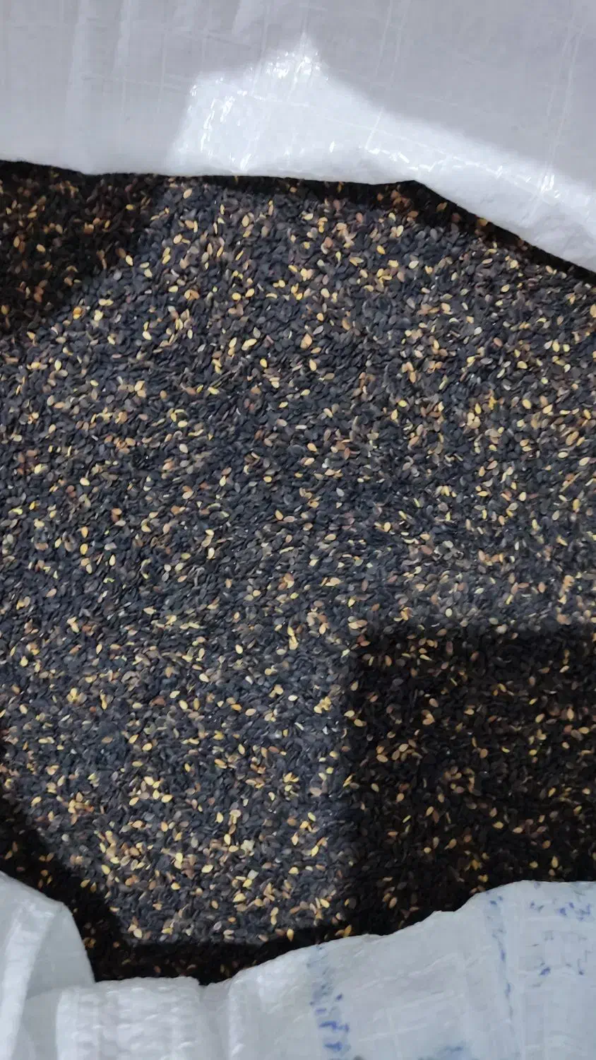 کنجد|خوردنی و آشامیدنی|خدا آفرین, |دیوار