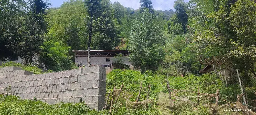 ۵۷۰متر با پروانه ساخت ۱۰۰ متری جنگلی ویو ابدی|فروش زمین و ملک کلنگی|گوراب زرمیخ, |دیوار