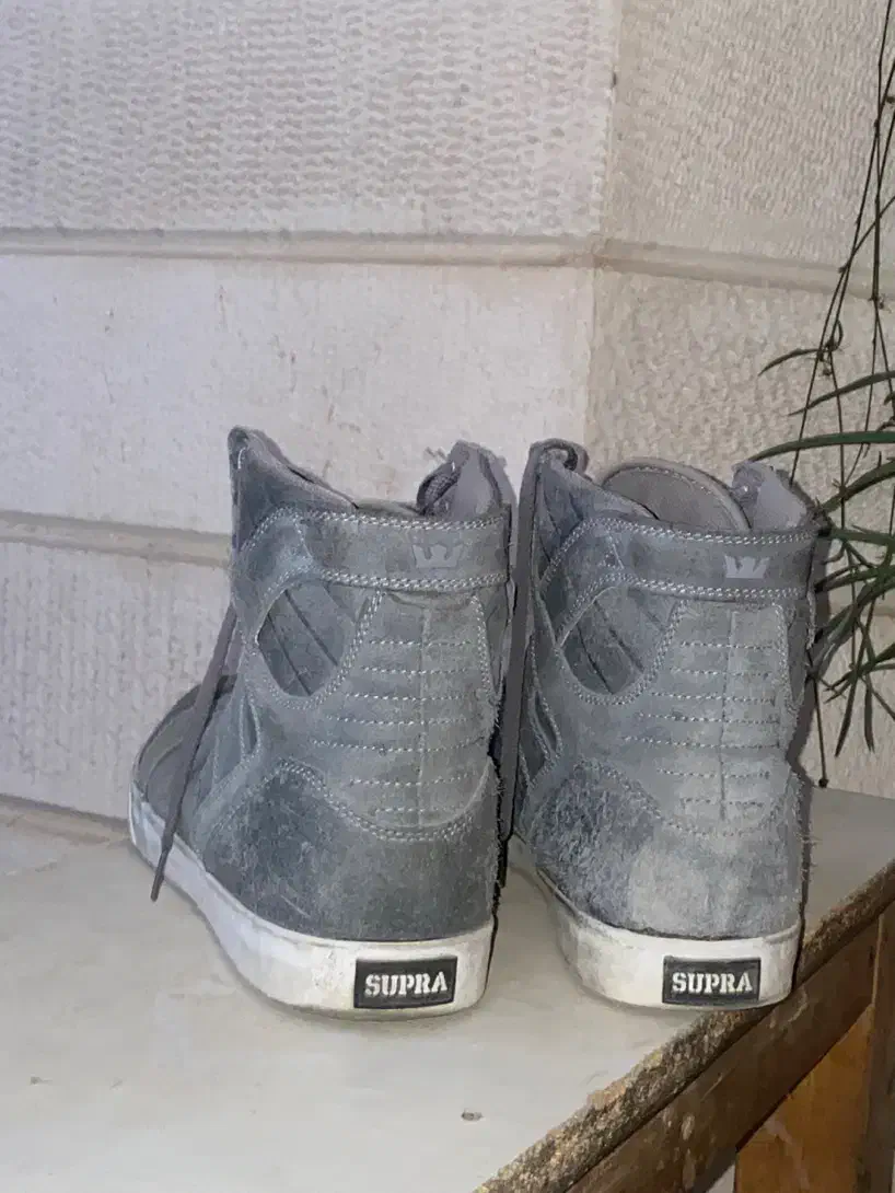 کفش سایز بزرگ|کیف، کفش، کمربند|ارومیه, |دیوار