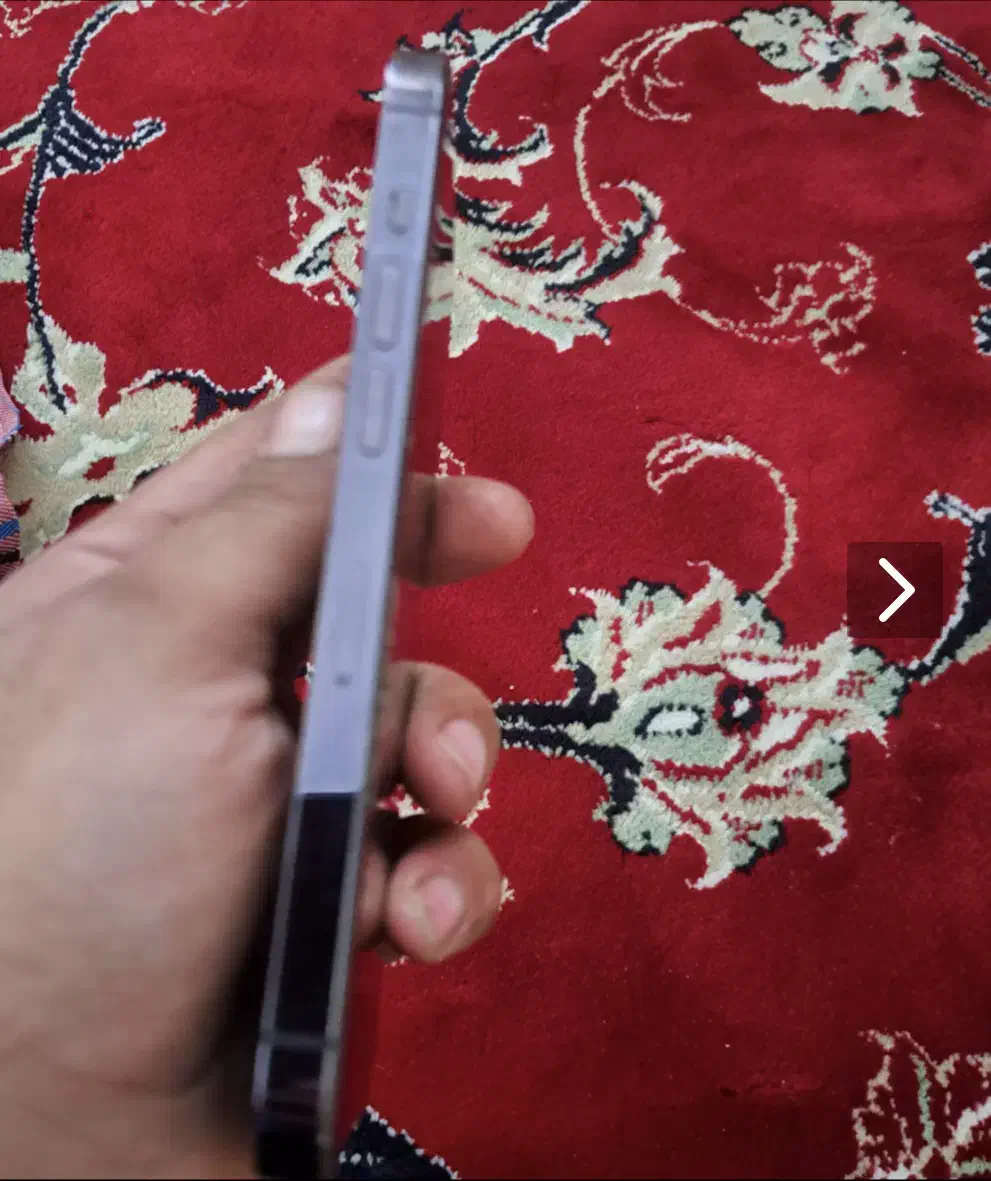 ایفون ۱۴ پرو|موبایل|هشتگرد, مدرس|دیوار