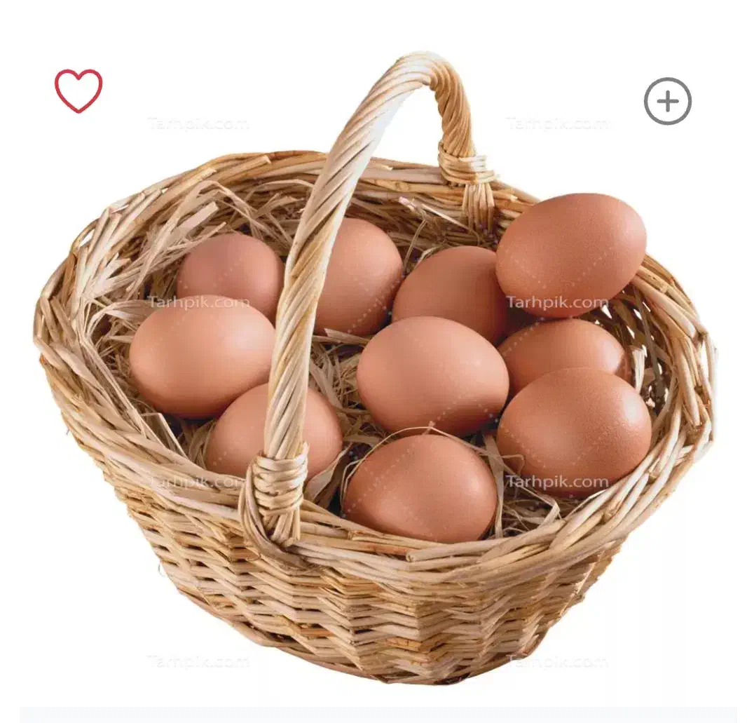 تخم مرغ رسمی|خوردنی و آشامیدنی|همدان, |دیوار