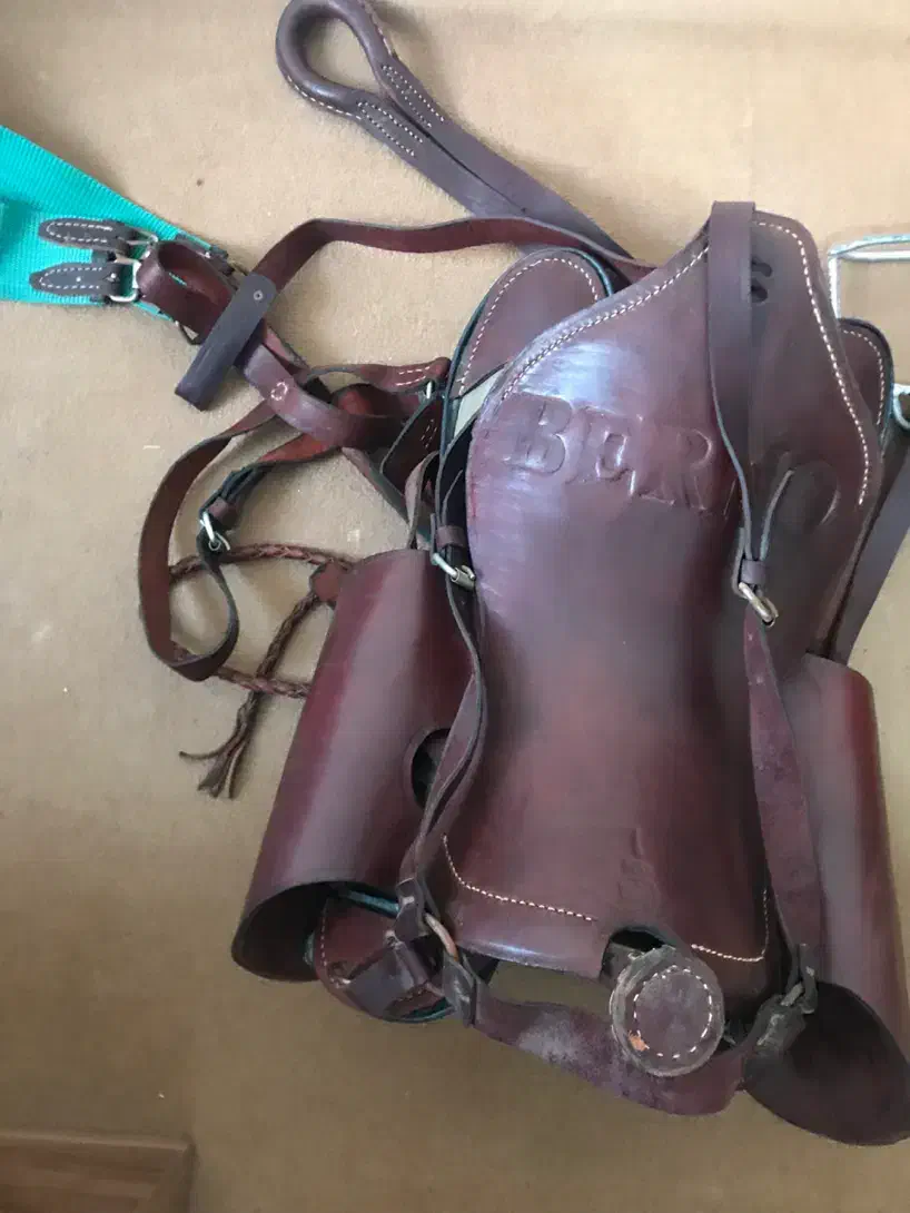 زین اسب|اسب و تجهیزات اسبسواری|مشهد, سید رضی|دیوار