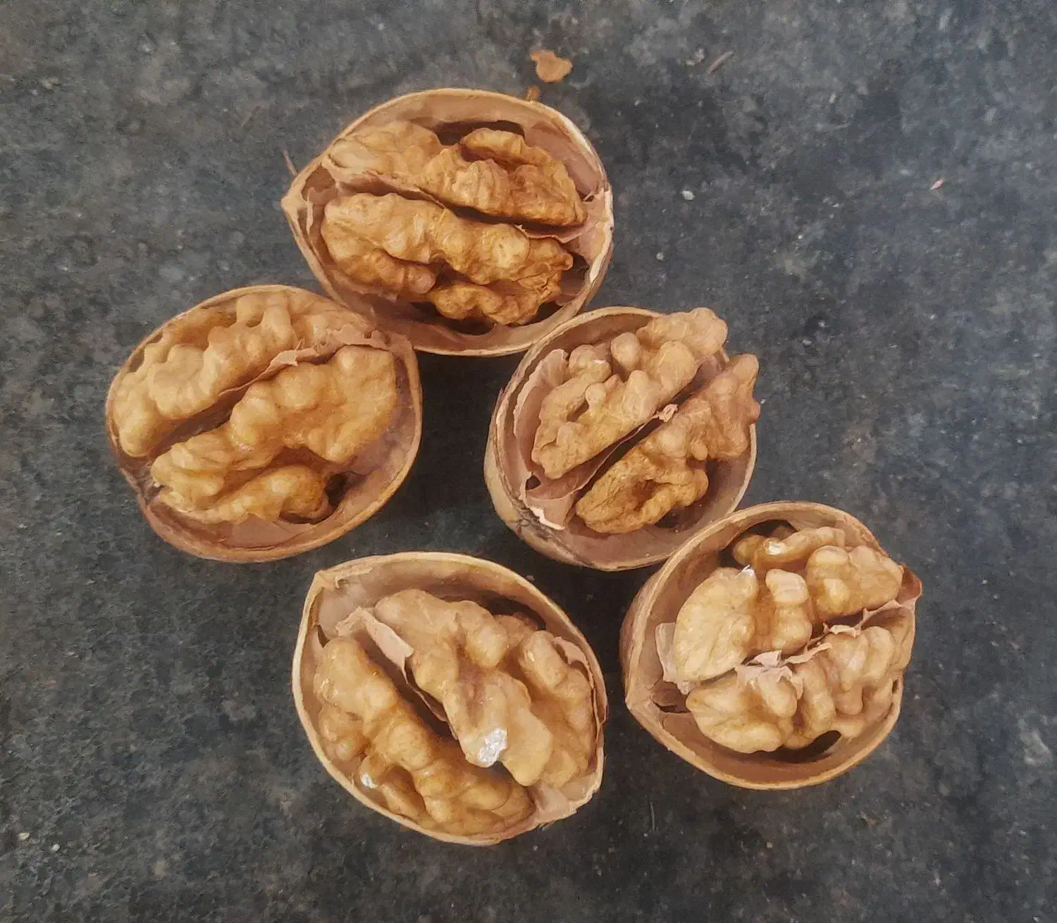 فروش عمده گردو خارجی|عمده‌فروشی|شیراز, شهرک فرهنگیان|دیوار