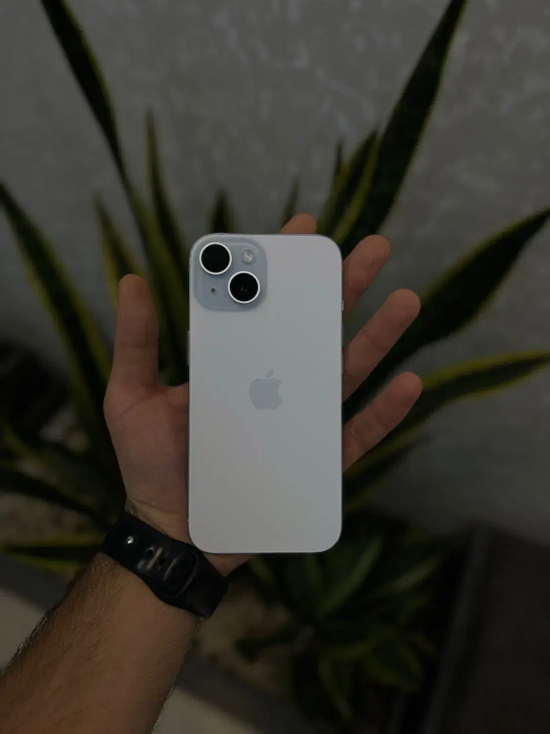 ایفون normal 15 128/ch با شرایط اقساط منعطف|موبایل|اصفهان, مفتح|دیوار