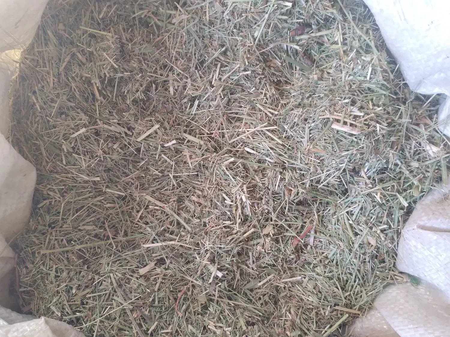 کاه سبزه|عمده‌فروشی|سمیرم, |دیوار