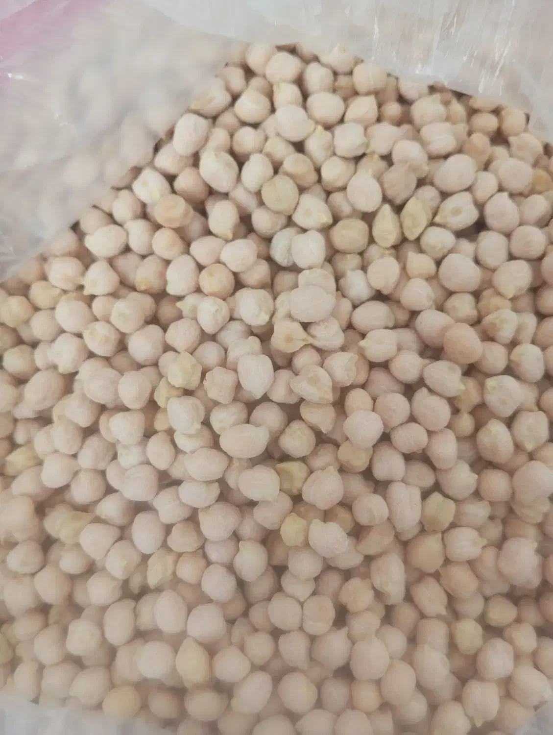 نخودمحلی|خوردنی و آشامیدنی|مرودشت, مجد آباد|دیوار