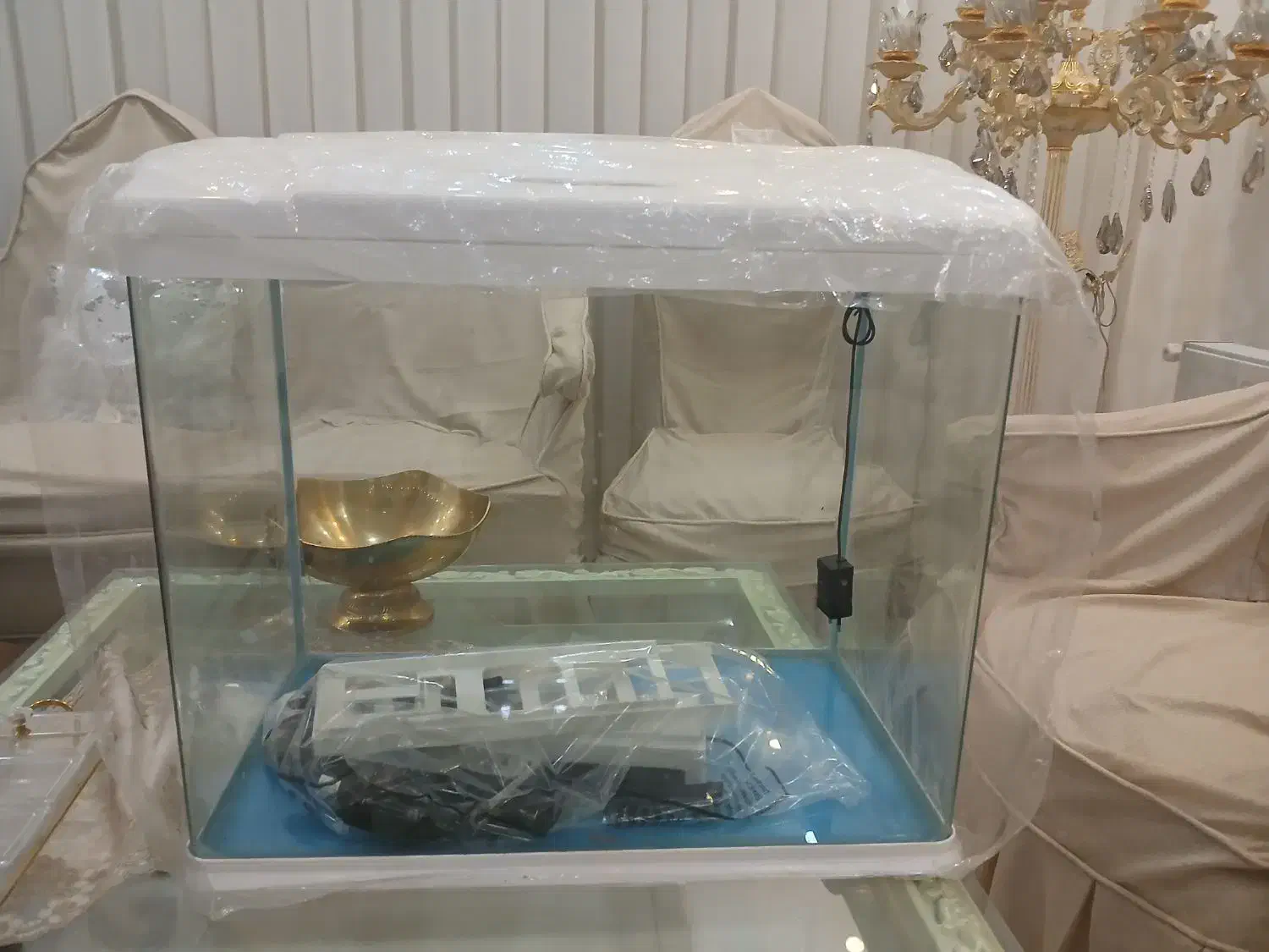 آکواریوم آکوآ|ماهی|سراب, |دیوار