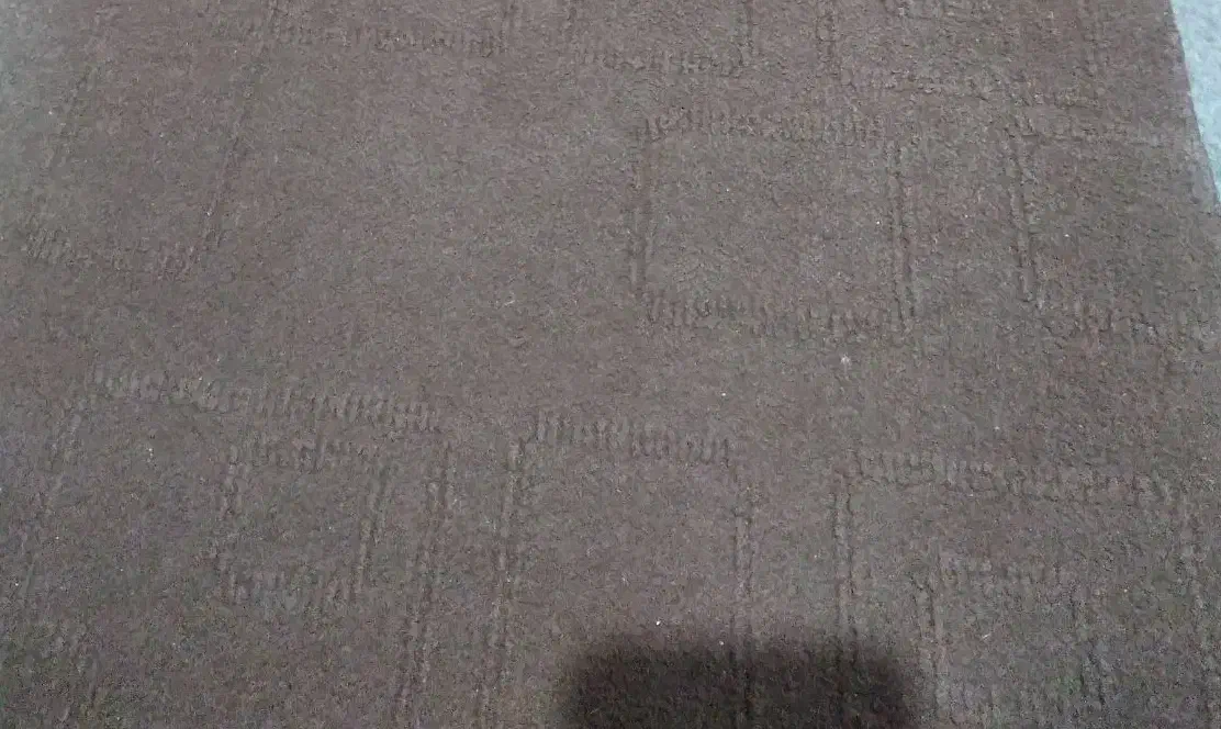 موکت سالم|موکت|لوشان, |دیوار