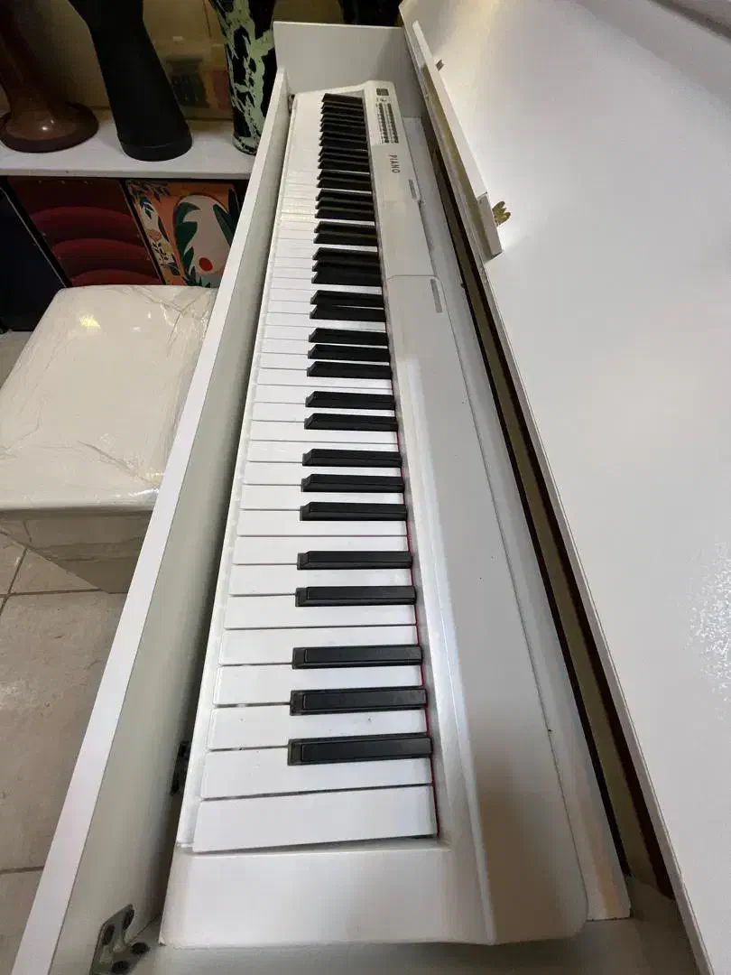 پیانو پرتابل دیجیتال گالری موسیقی آرتیاپاساژشهرسبز|پیانو، کیبورد، آکاردئون|لاهیجان, انقلاب|دیوار