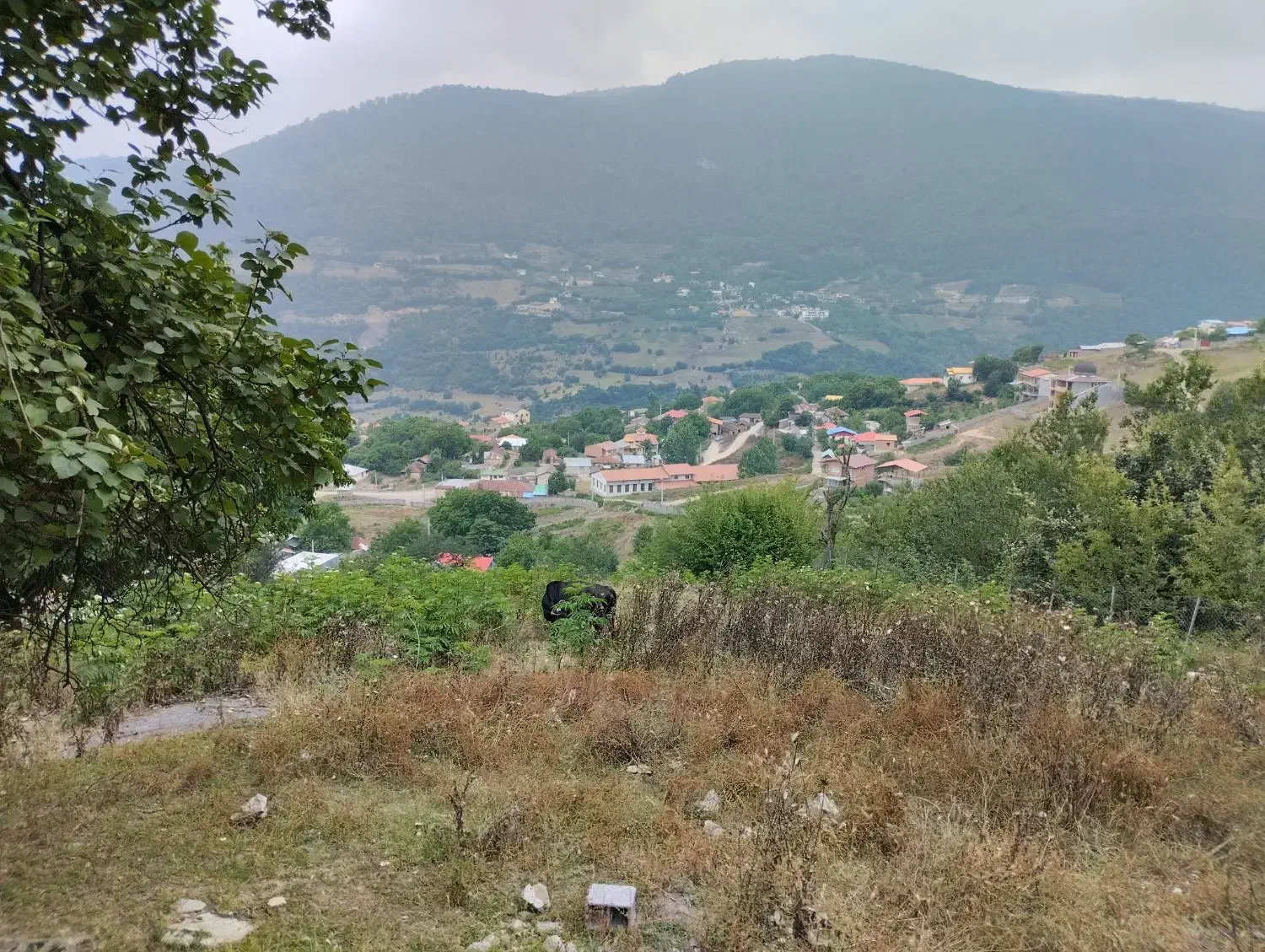 فروش زمین سوادکوه روستای سرسبز کلاریجان|فروش زمین و ملک کلنگی|آلاشت, |دیوار