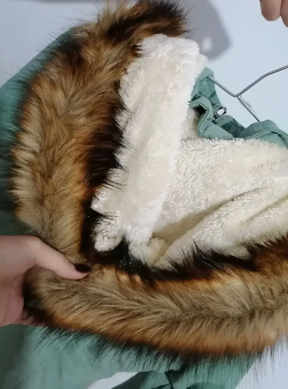 پالتو دخترانه|لباس|هشتگرد, هیو|دیوار