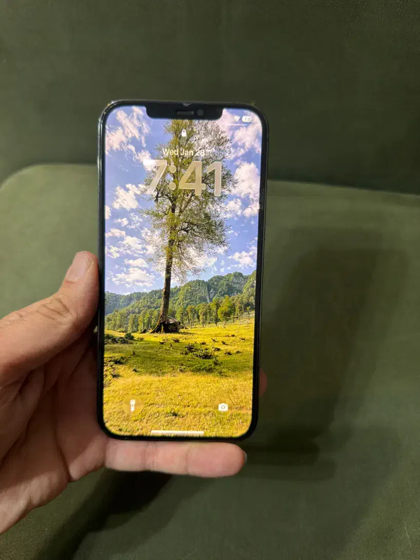 ایفون ۱۲ پرومکس zaa256|موبایل|تهران, استاد معین|دیوار