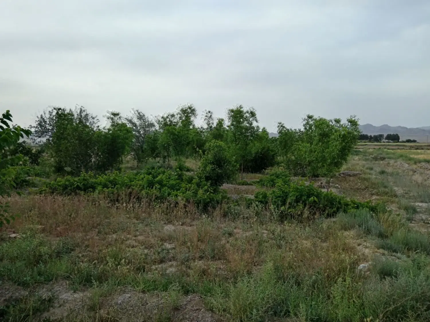 تصویر 5