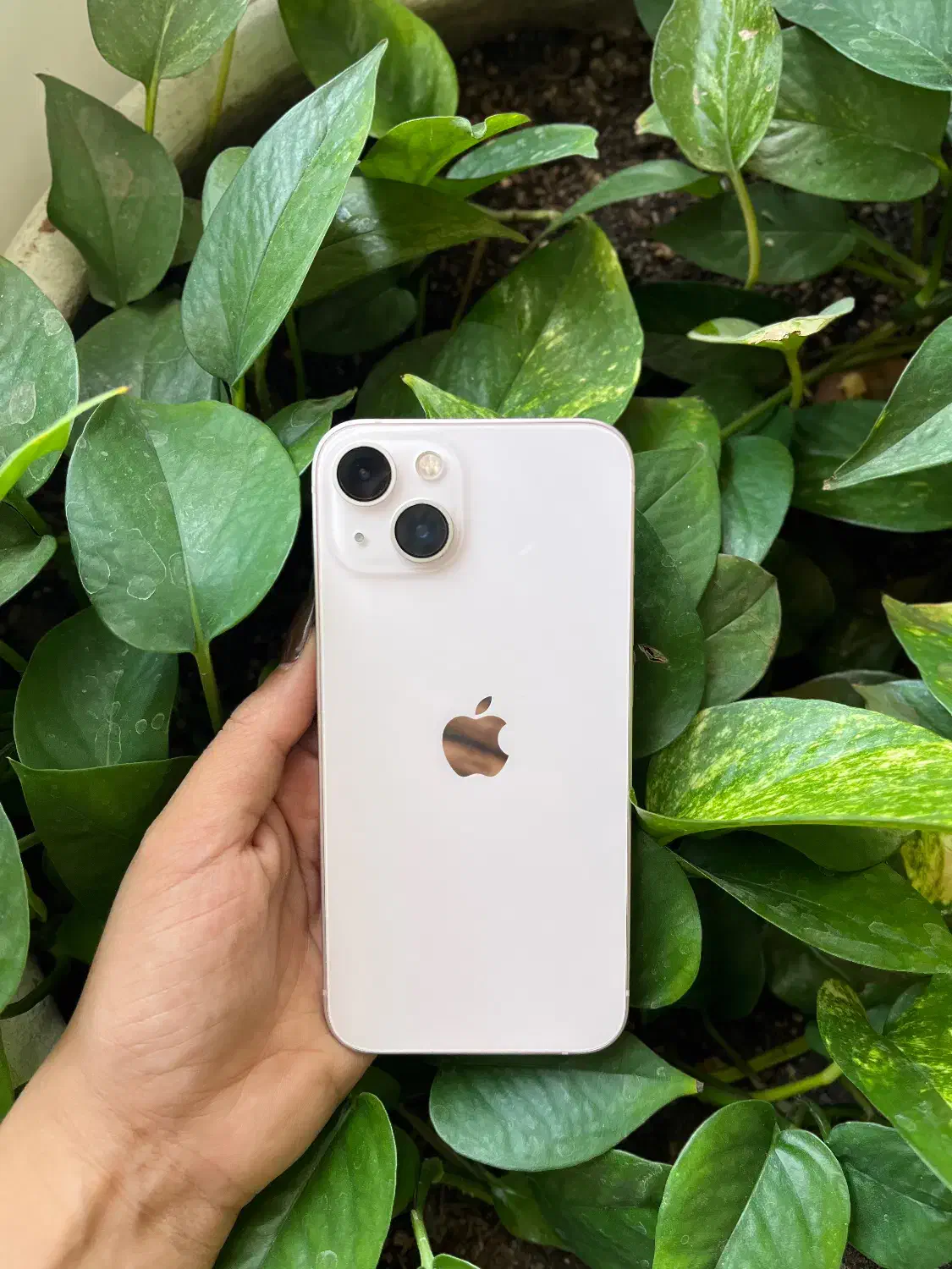 ایفون ۱۳ نرمال (۲۵۶گیگ)|موبایل|حمیدیا, |دیوار