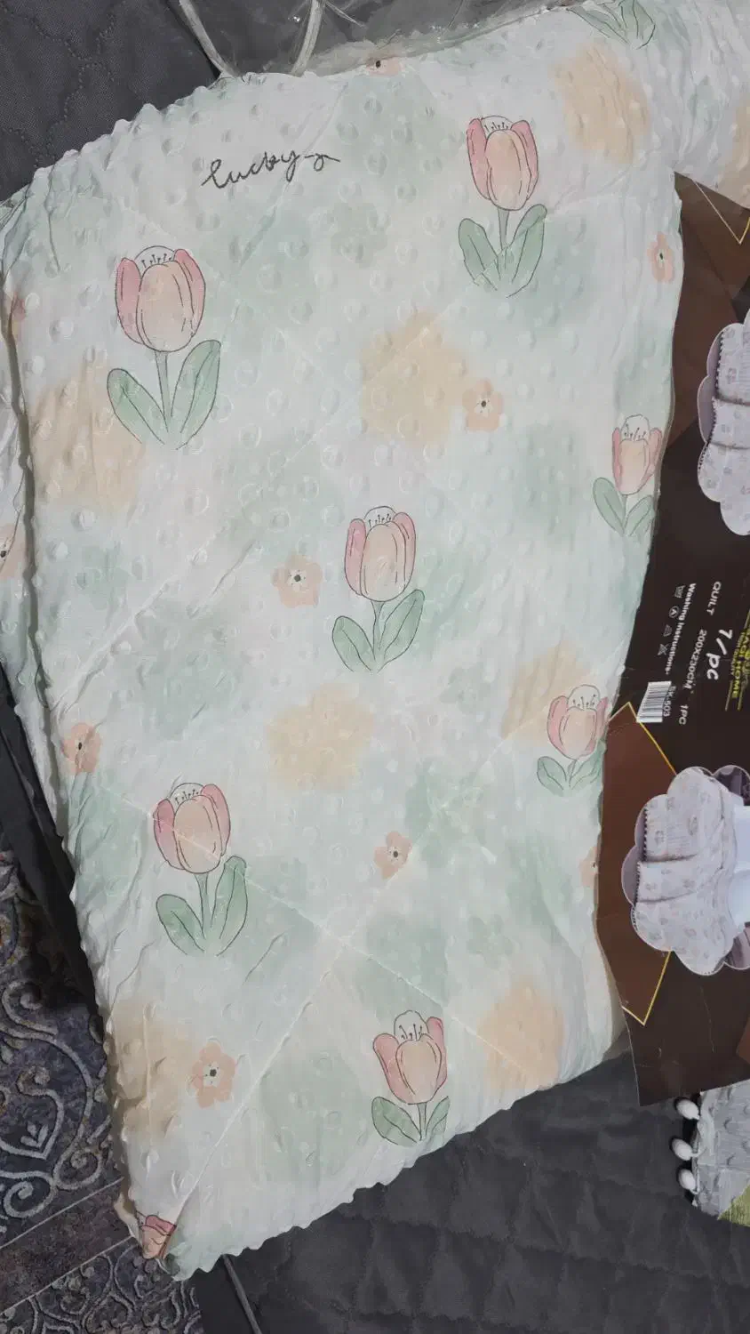 رو تختی سالم|سرویس روتختی|آستانه اشرفیه, |دیوار