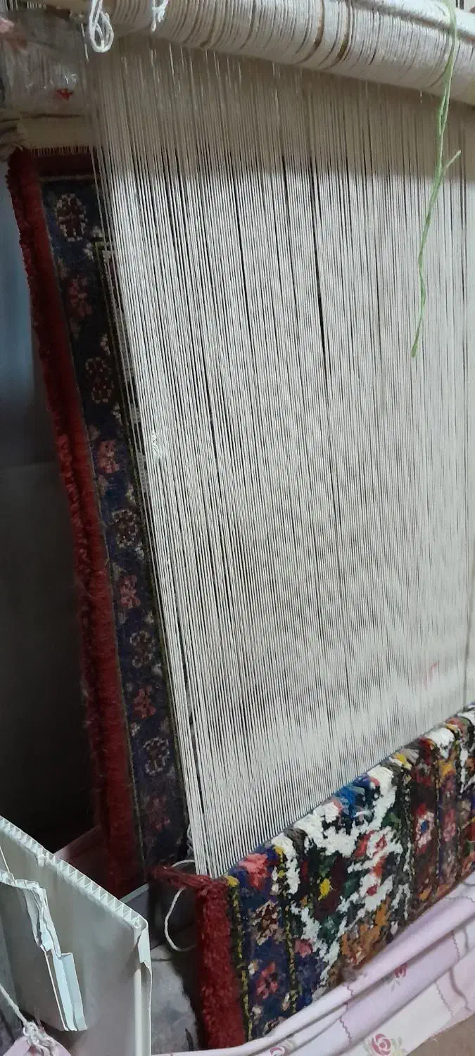 قالی دستبافت|فرش|شهرکرد, |دیوار