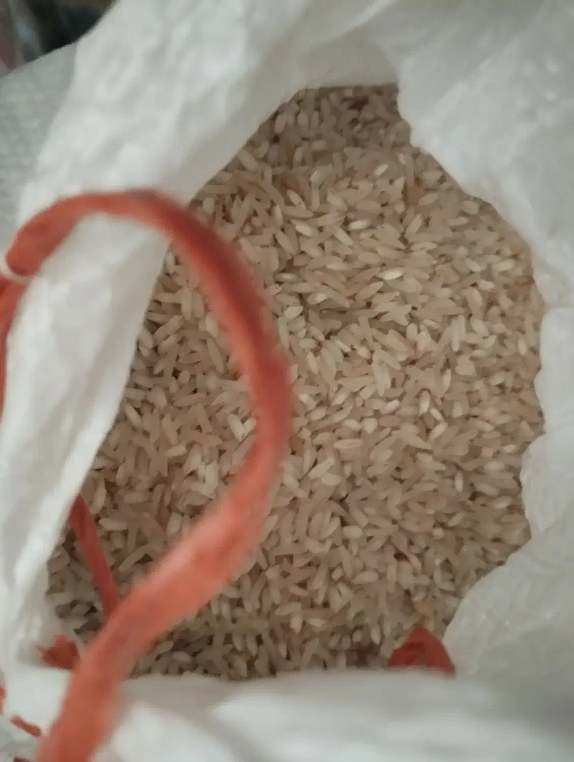 برنج قلوه|خوردنی و آشامیدنی|رشت, حمیدیان|دیوار