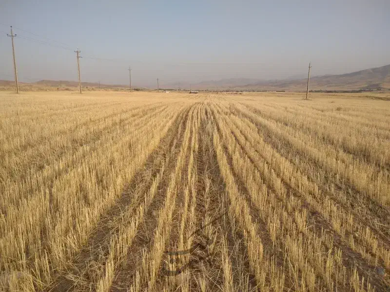 فروش زمین دیم سه هزار متری مناسب|فروش دفتر صنعتی، کشاورزی، تجاری|همدان, |دیوار