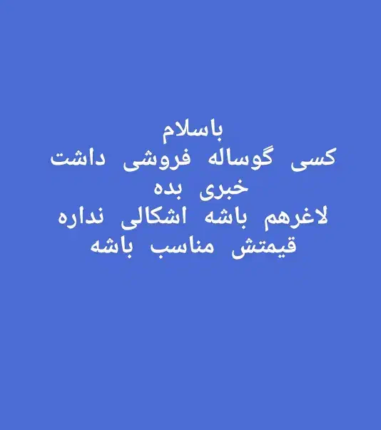 گاو فروشی|حیوانات مزرعه|دلگان, |دیوار