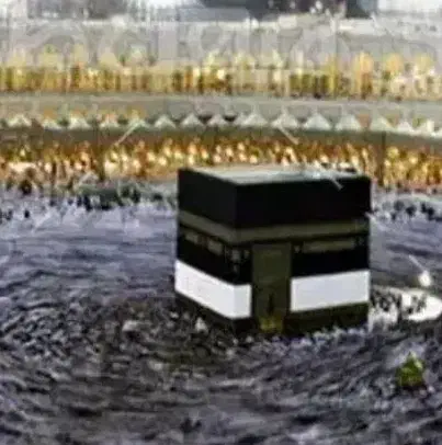 خریدار فیش عمره|تور و چارتر|اصفهان, کوی شهید کشوری|دیوار