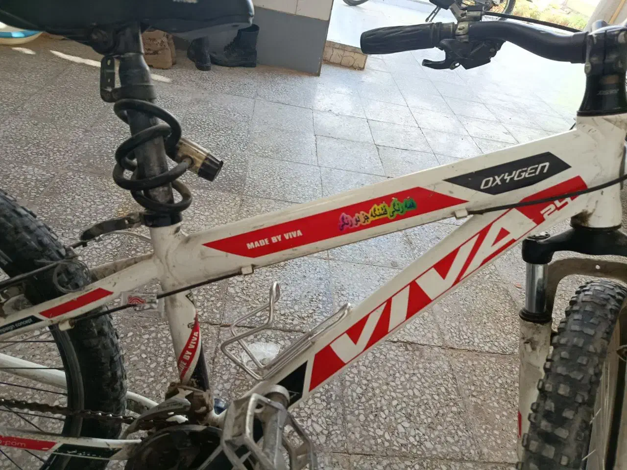 دوچرخه|دوچرخه، اسکیت، اسکوتر|برازجان, |دیوار