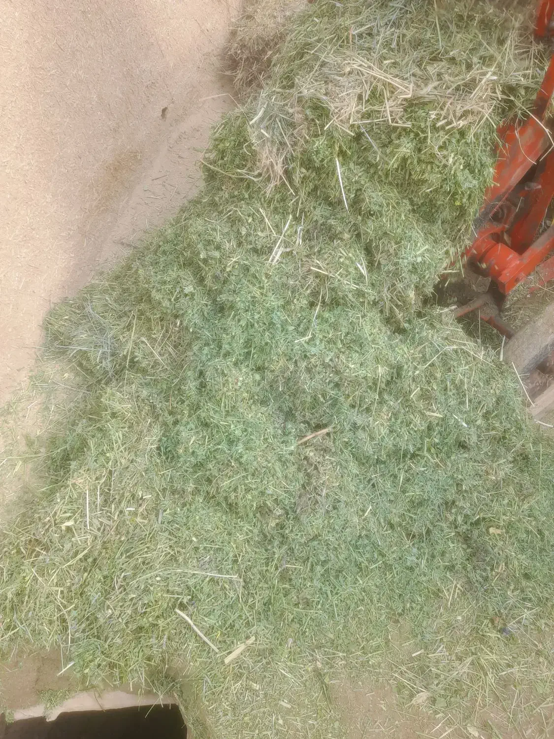 یونجه|لوازم جانبی حیوانات|قیدار, |دیوار