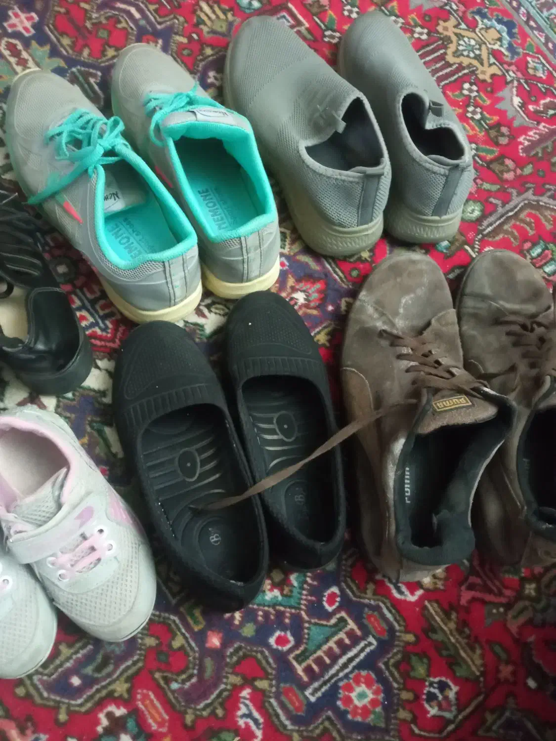 چند جفت کفش در سایز های مختلف|کیف، کفش، کمربند|تبریز, |دیوار