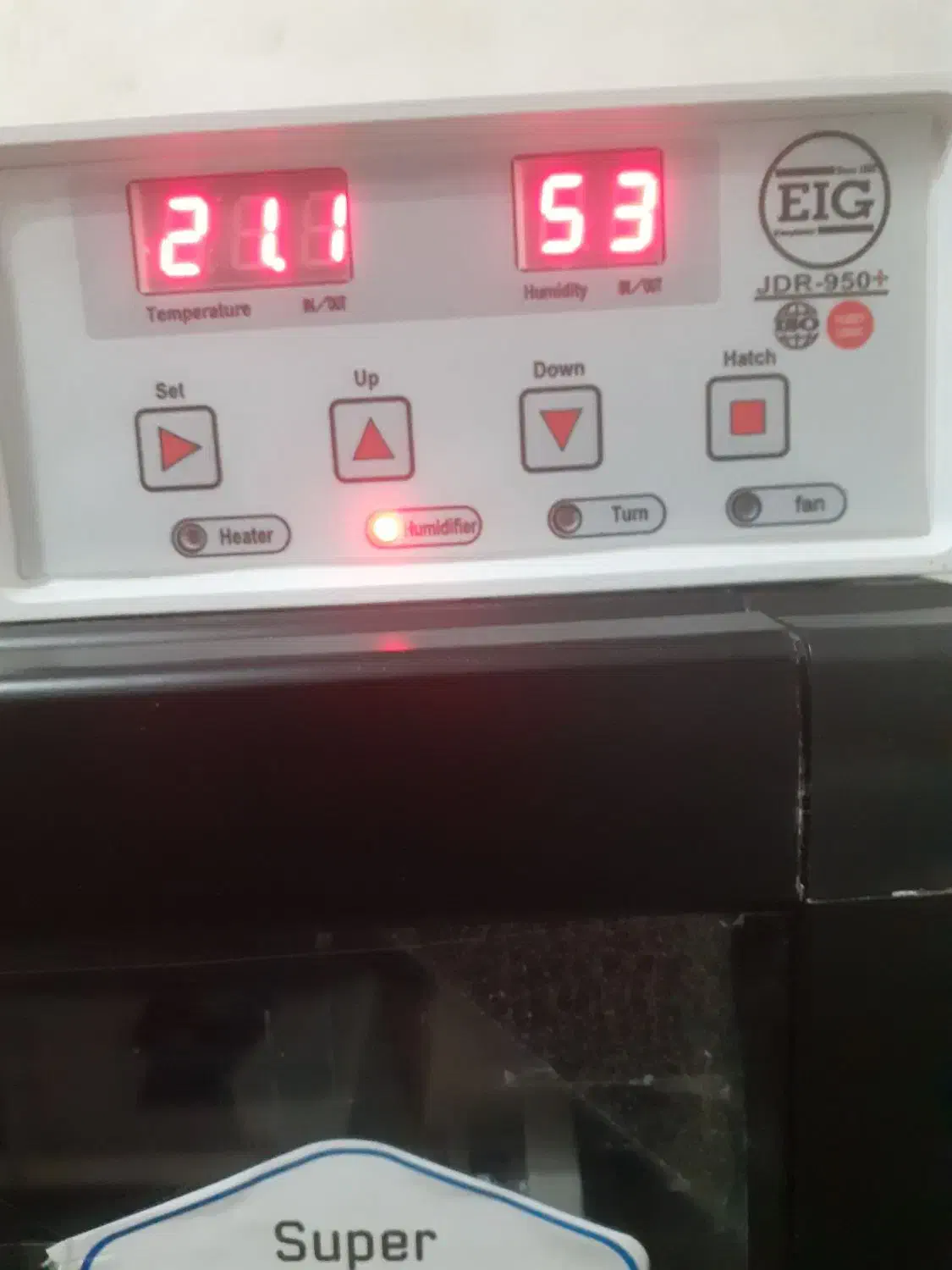 دستگاه جوجه کشی اسکندری|حیوانات مزرعه|گوراب زرمیخ, |دیوار