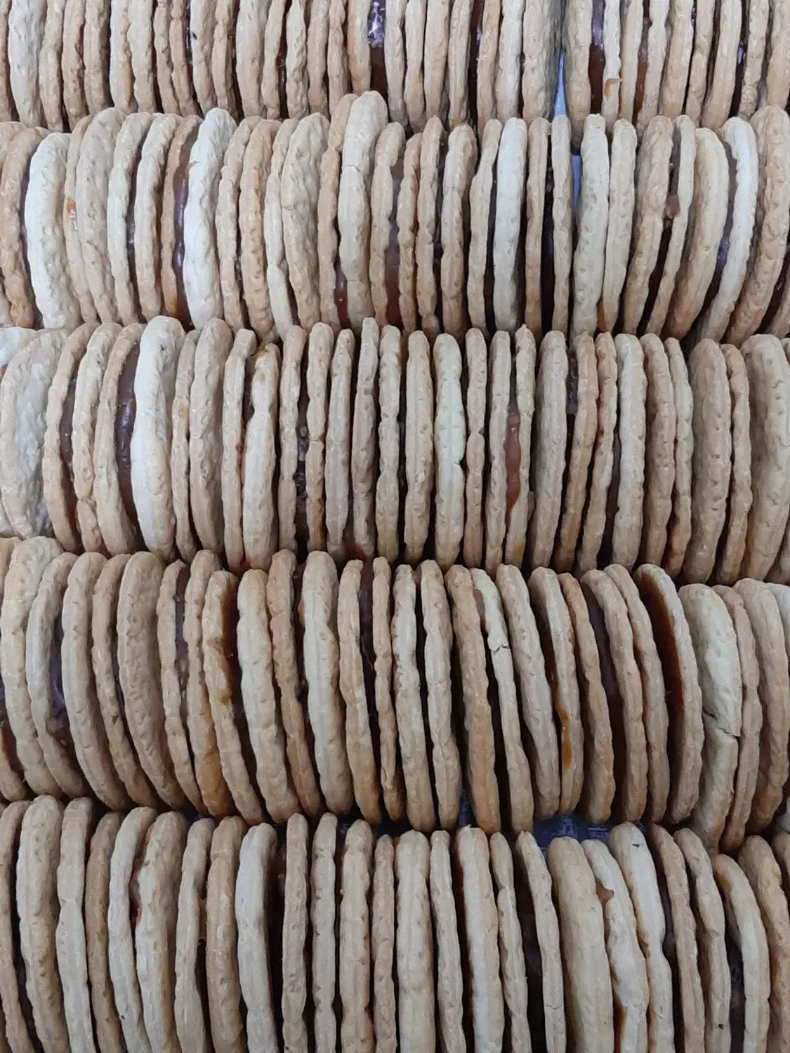 کیک و کلوچه سادات گناباد|خوردنی و آشامیدنی|مشهد, نوید|دیوار