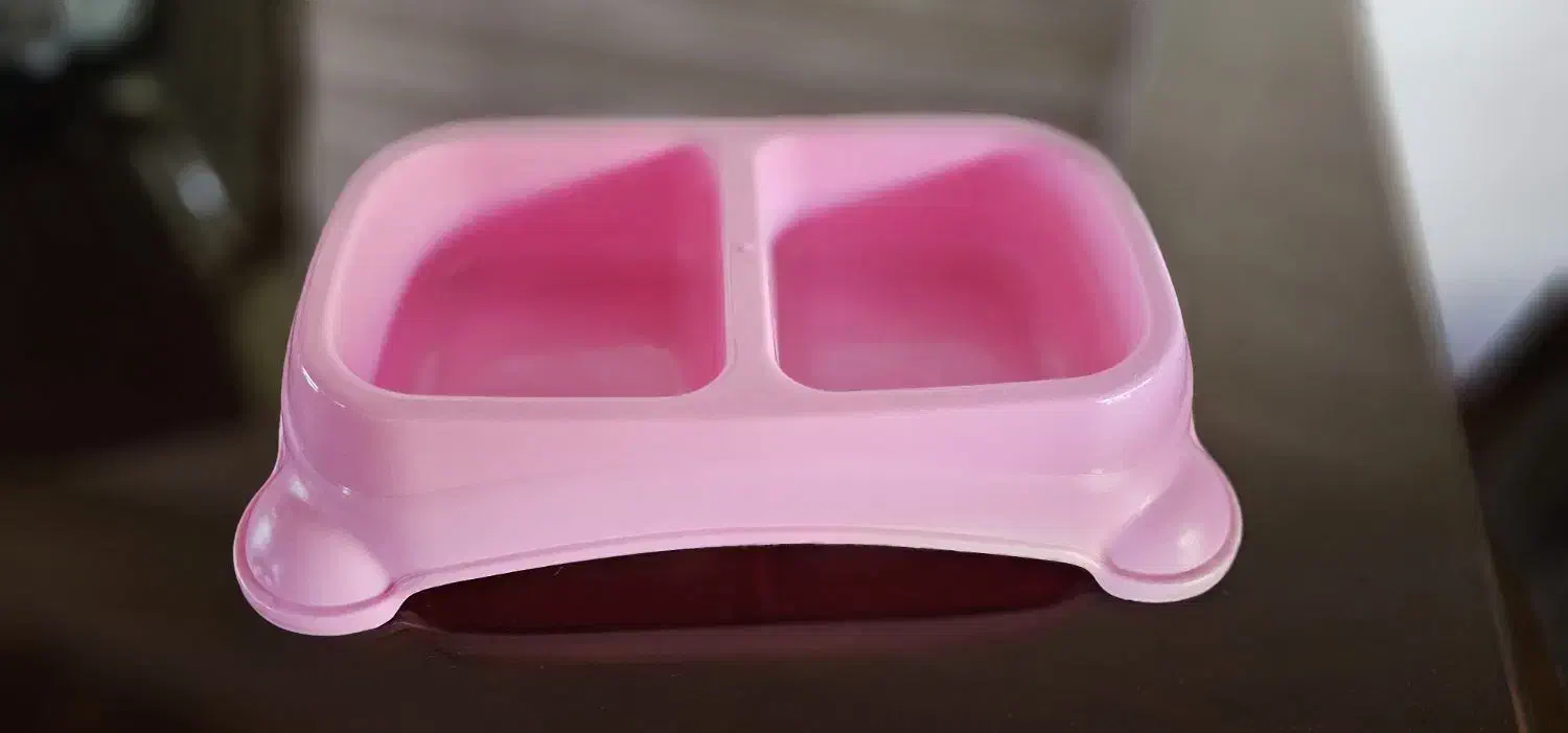 لوازم گربه|لوازم جانبی حیوانات|نوشهر, |دیوار