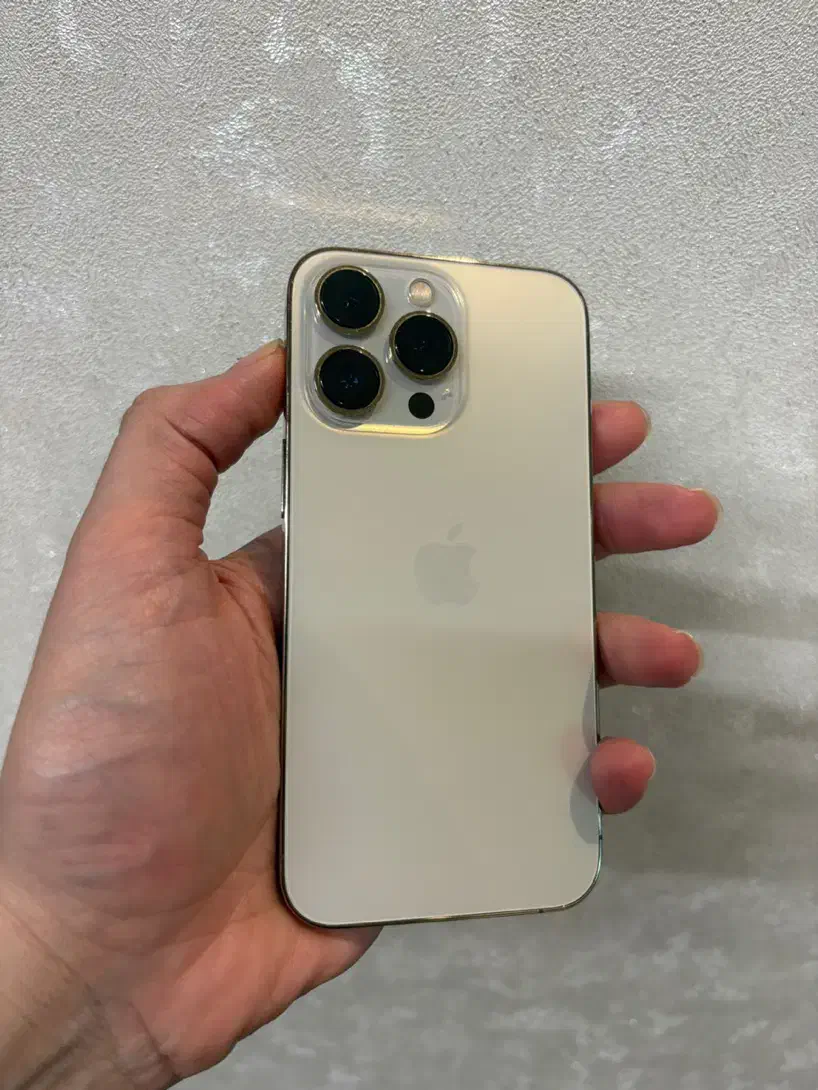 Iphone 13 pro|موبایل|رشت, بلوار گیلان|دیوار