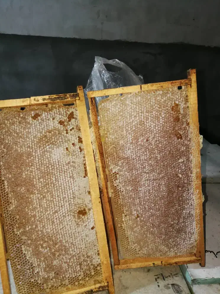 عسل طبیعی خالص|خوردنی و آشامیدنی|سلمان‌شهر, |دیوار