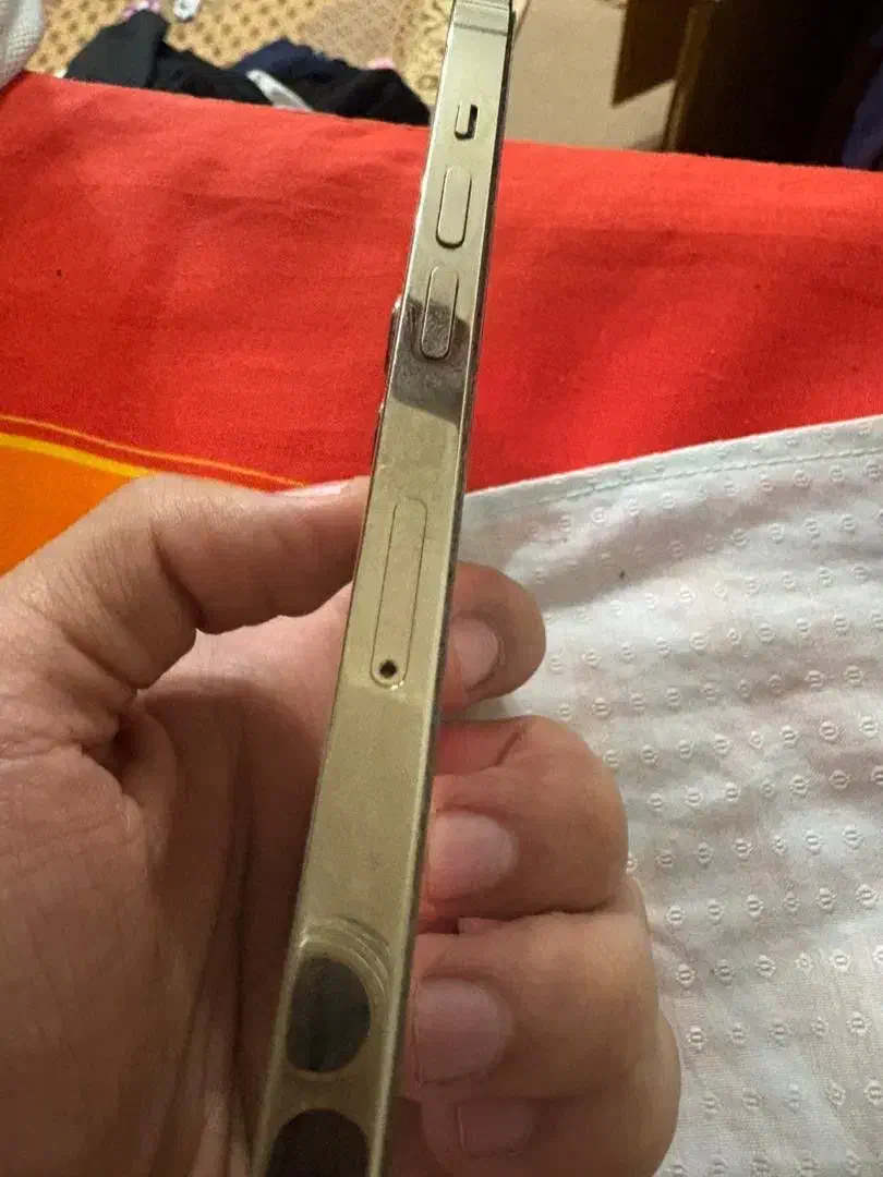 ایفون ۱۲پرومکس|موبایل|شیراز, حومه شیراز|دیوار