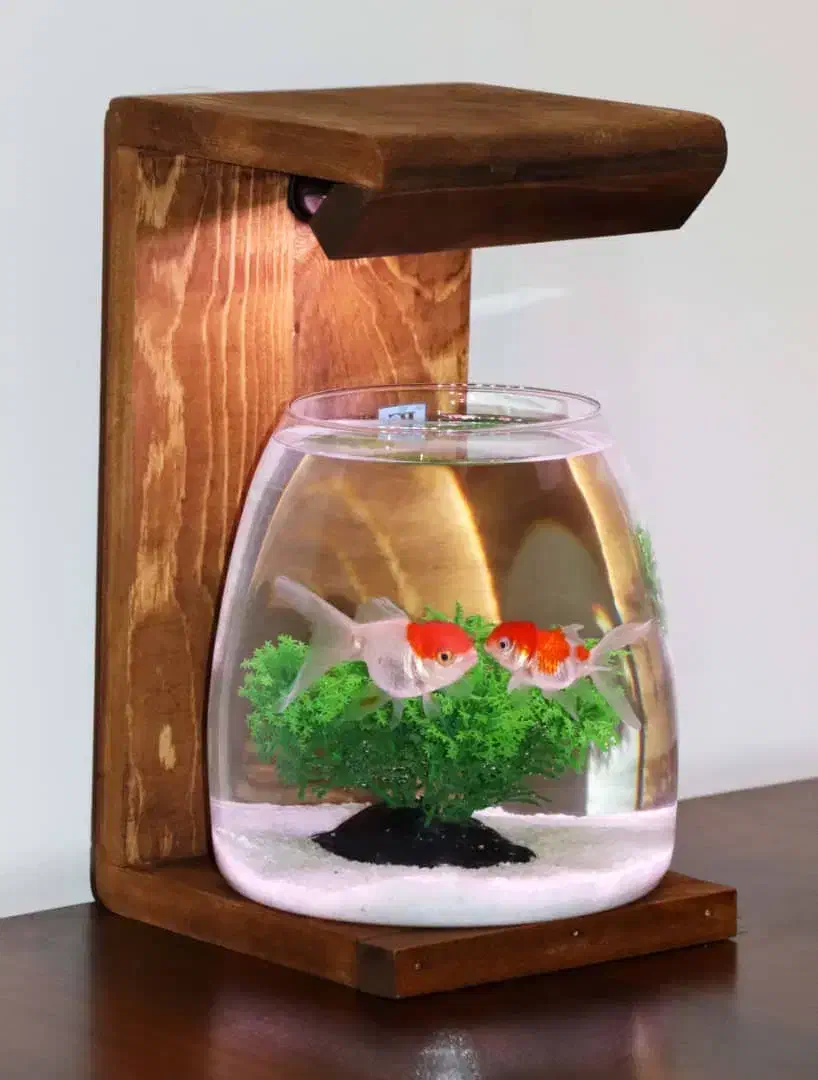 تنگ ماهی|ماهی|تهران, اقدسیه|دیوار