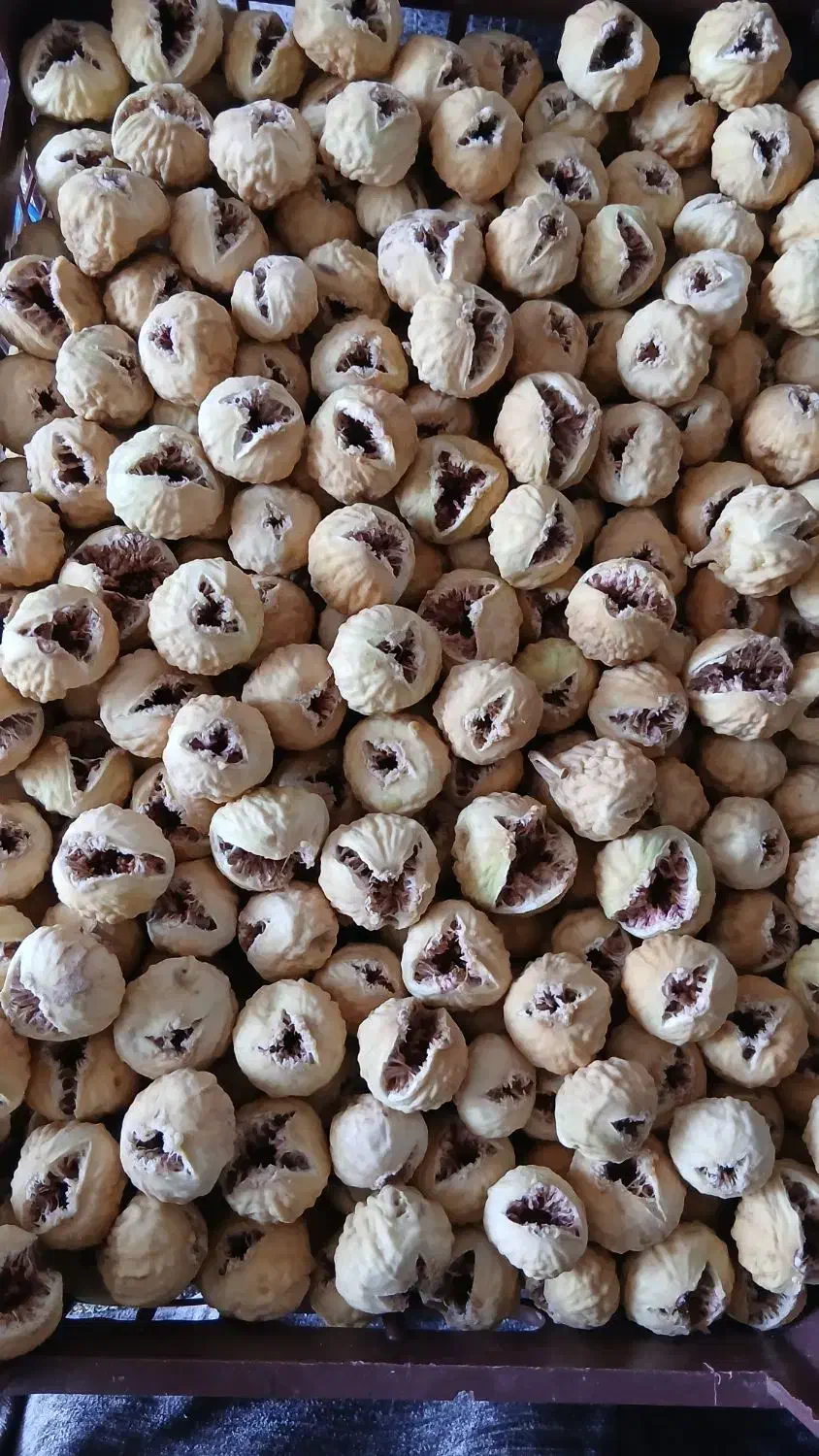 انجیر بش|خوردنی و آشامیدنی|شیراز, شهرک مهرگان|دیوار