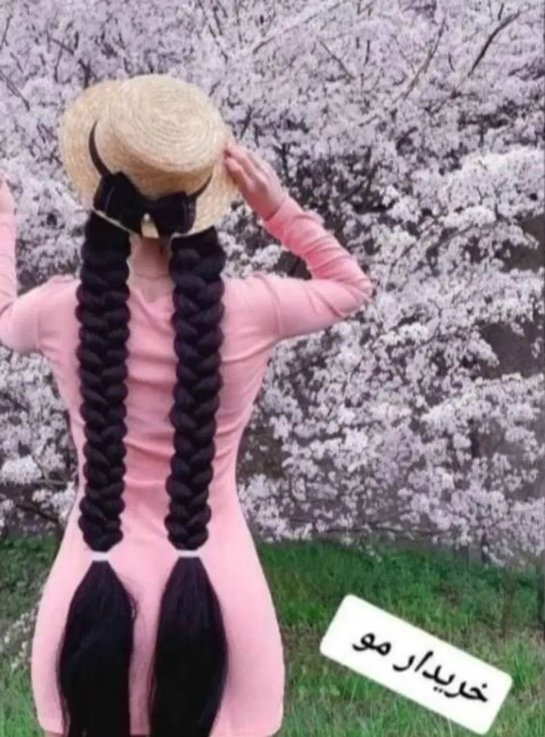 خریدار مو (کوتاهی مو بدلخواه مشتری)|خدمات آرایشگری و زیبایی|ایلام, |دیوار