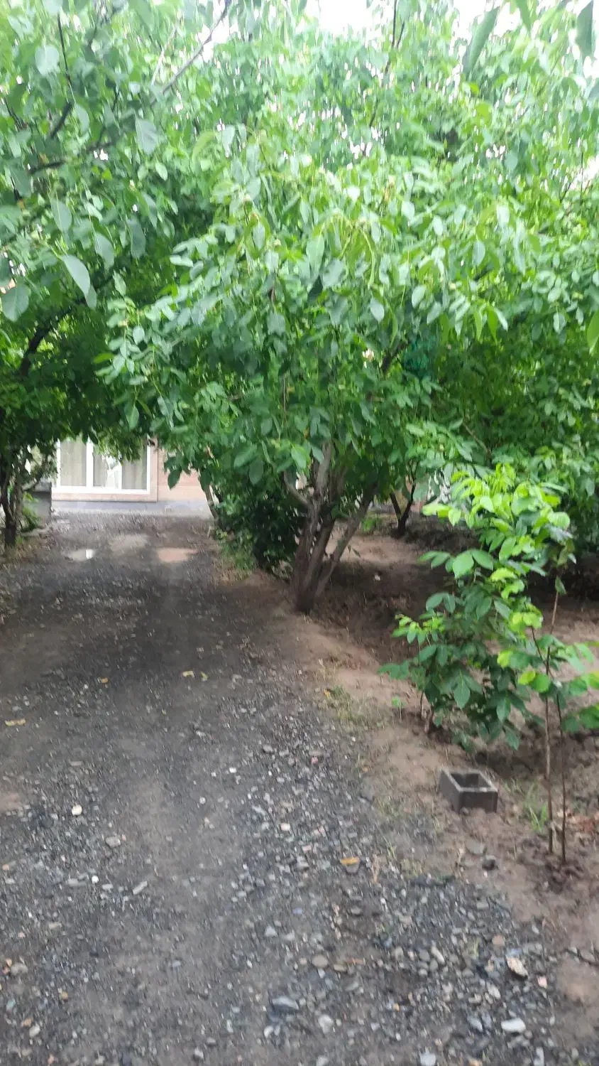 باغ ویلا اجاره ای بلوارشاهنامه|اجارهٔ کوتاهمدت ویلا و باغ|مشهد, چهاربرج|دیوار