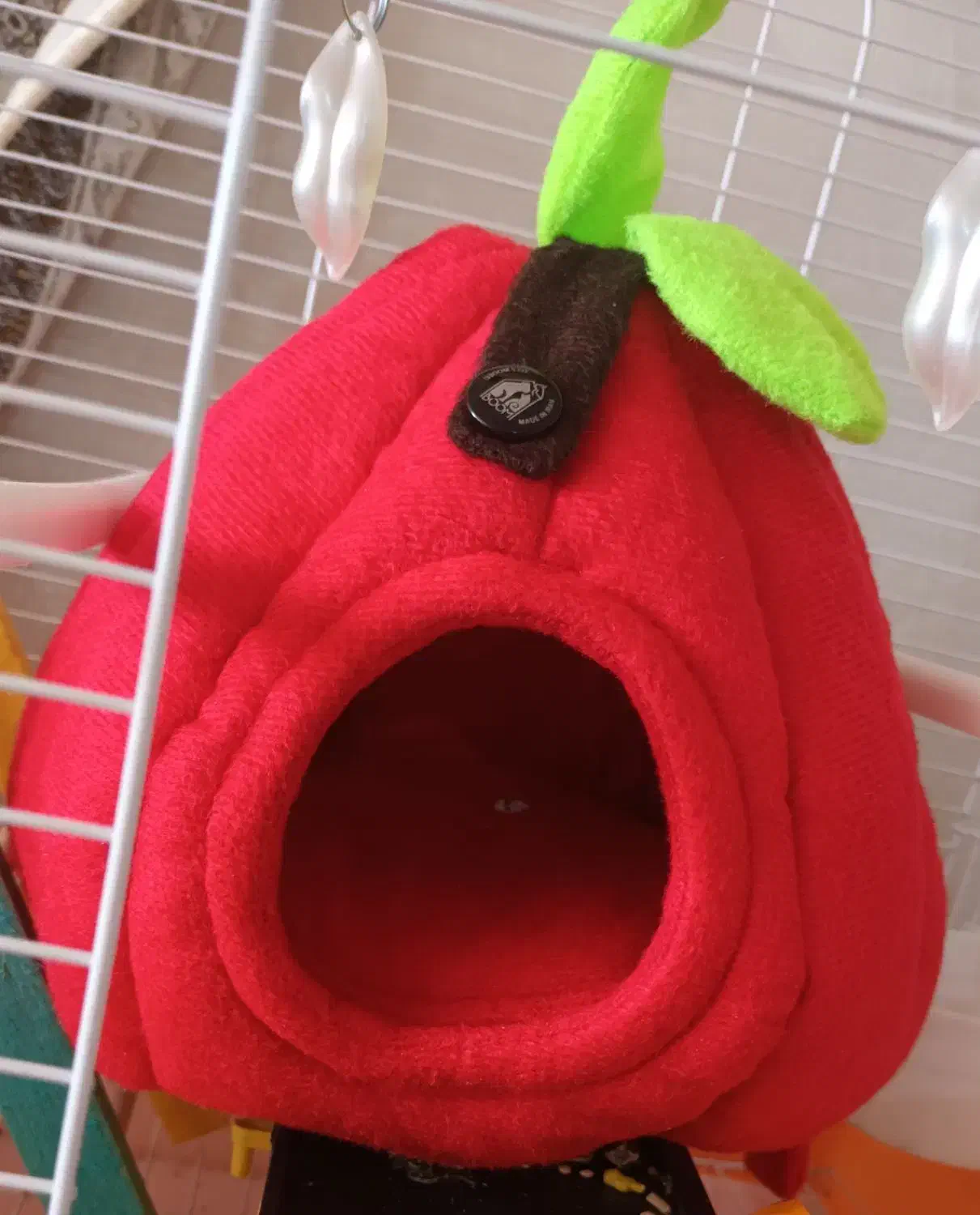 لانه و مخفی گاه پرنده|لوازم جانبی حیوانات|مهاباد (آذربایجان غربی), |دیوار