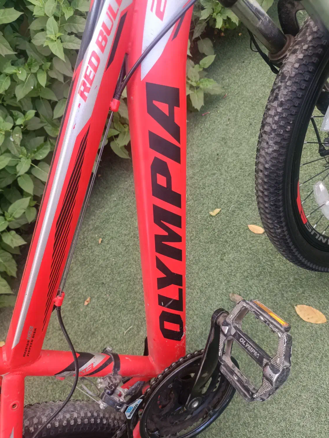 دوچرخه24المپیا|دوچرخه، اسکیت، اسکوتر|فومن, |دیوار