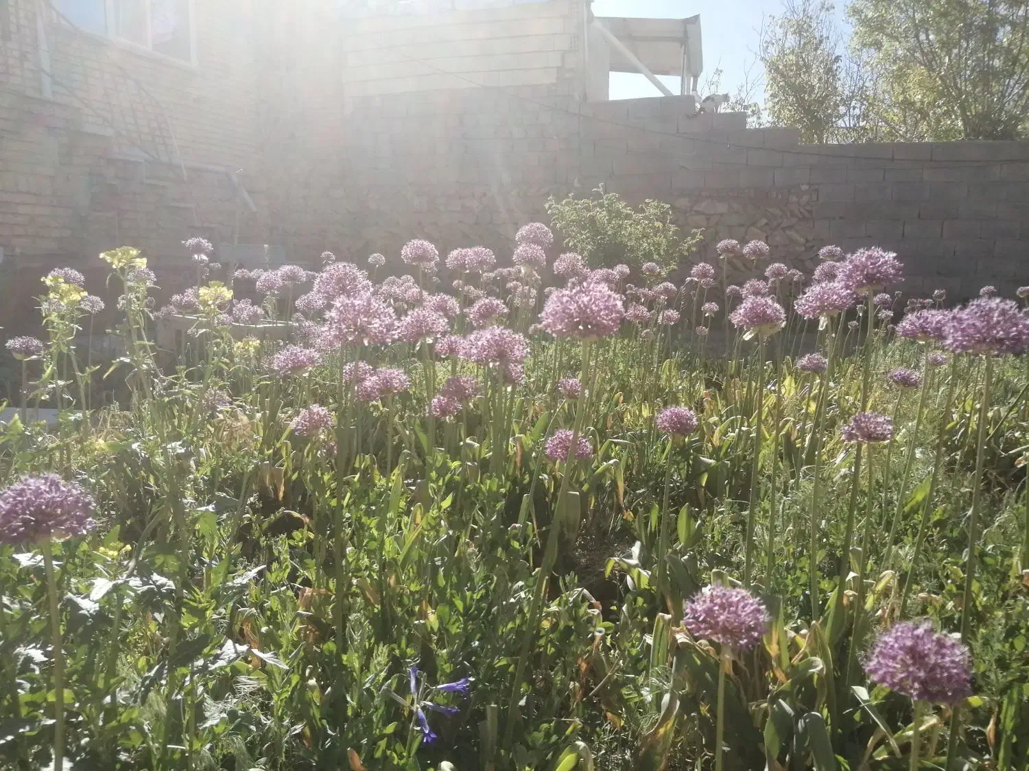 اجاره کوتاه مدت سوییت|اجارهٔ کوتاه‌مدت آپارتمان و سوئیت|فریدونشهر, |دیوار