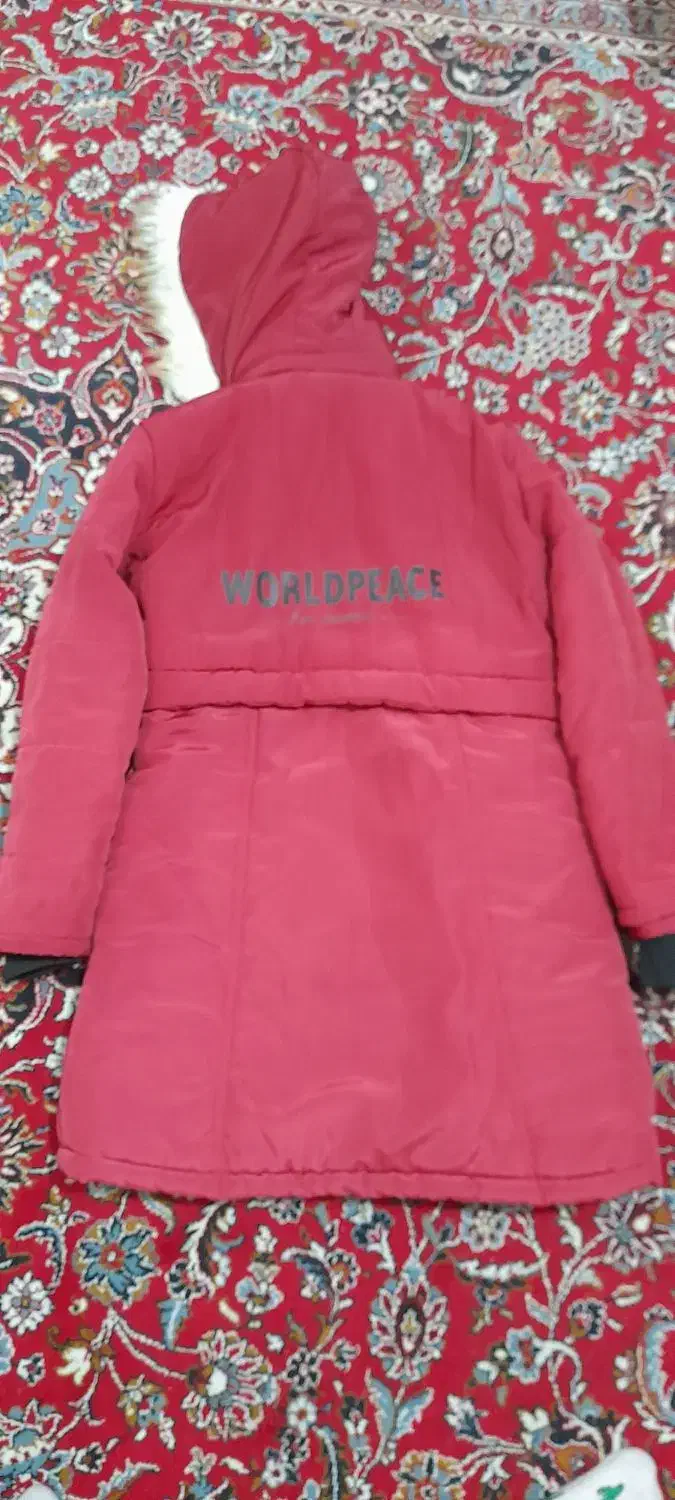 کاپشن دخترانه|لباس|رشت, گیل|دیوار