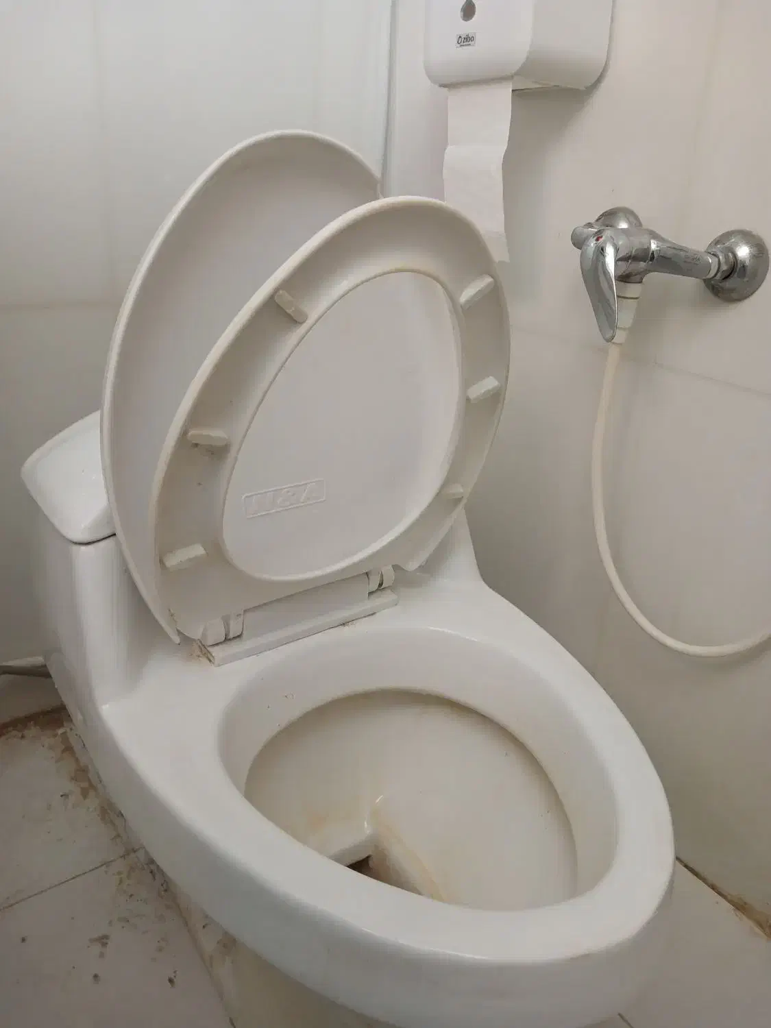 توالت فرنگی (دستشویی فرنگی) ایساتیس|لوازم سرویس بهداشتی|شیراز, وصال|دیوار