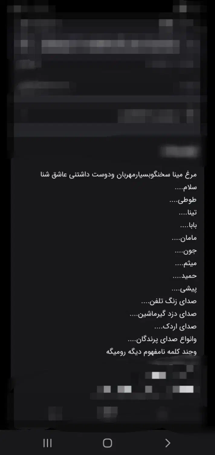 مرغ مینا سخنگو کلام بالا|پرنده|یزد, |دیوار